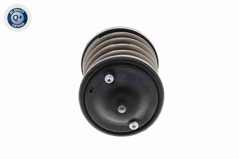 Termostaat, Jahutusvedelik, VEMO V20-99-0169