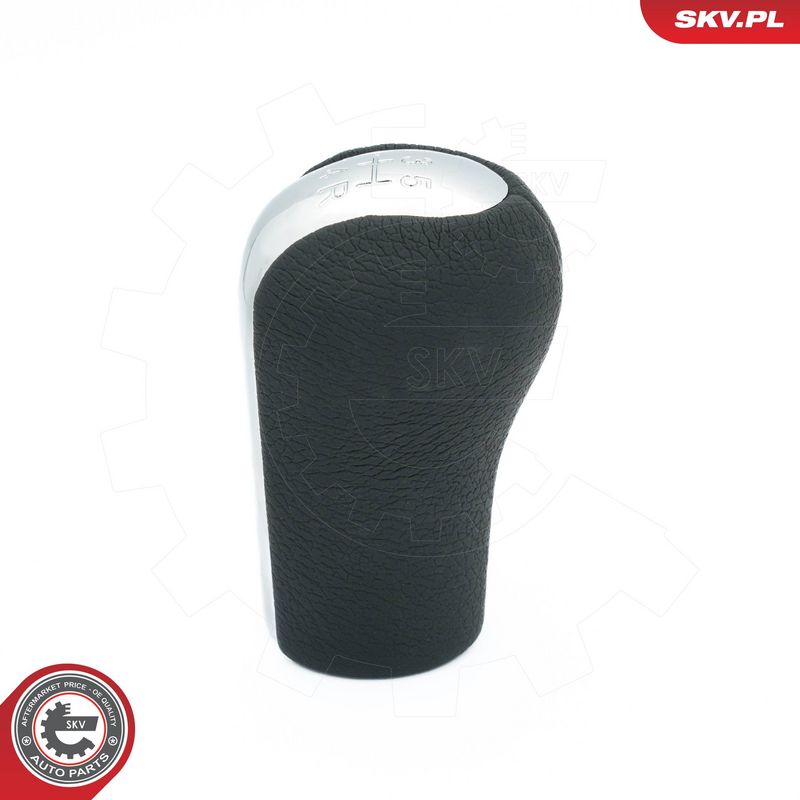 Käigukanginupp, ESEN SKV 63SKV484