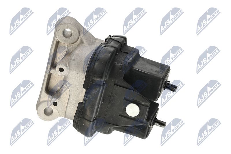 Paigutus, Mootor, NTY ZPS-CH-019