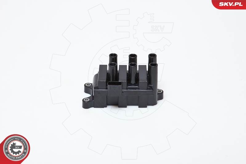 ESEN SKV 03SKV161 Ignition Coil