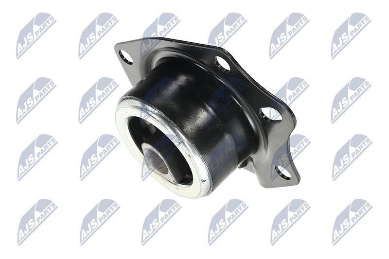 Paigutus, Mootor, NTY ZPS-CH-014