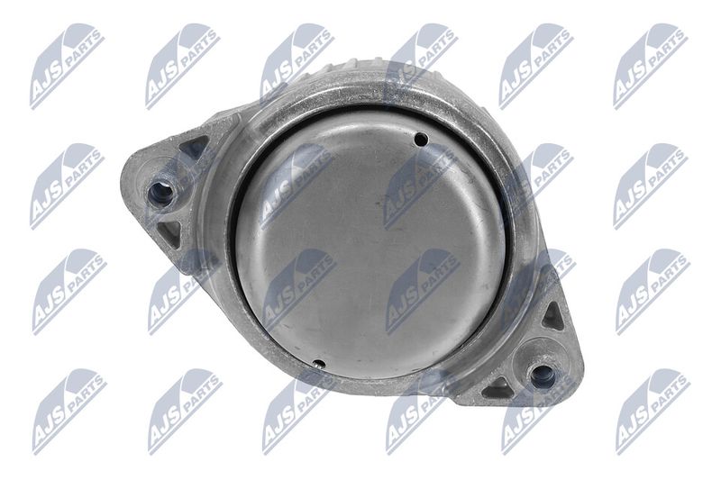 Paigutus, Mootor, NTY ZPS-ME-016