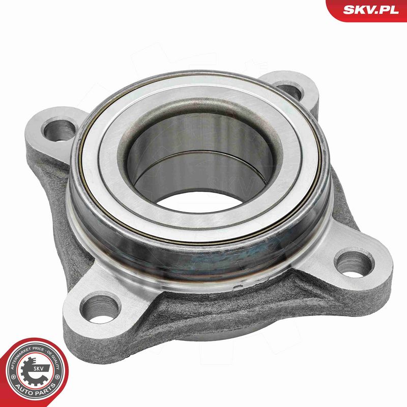 ESEN SKV 29SKV041 Wheel Bearing Kit