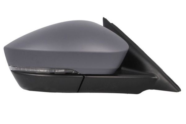 BLIC 5402-43-1925315P Exterior Mirror