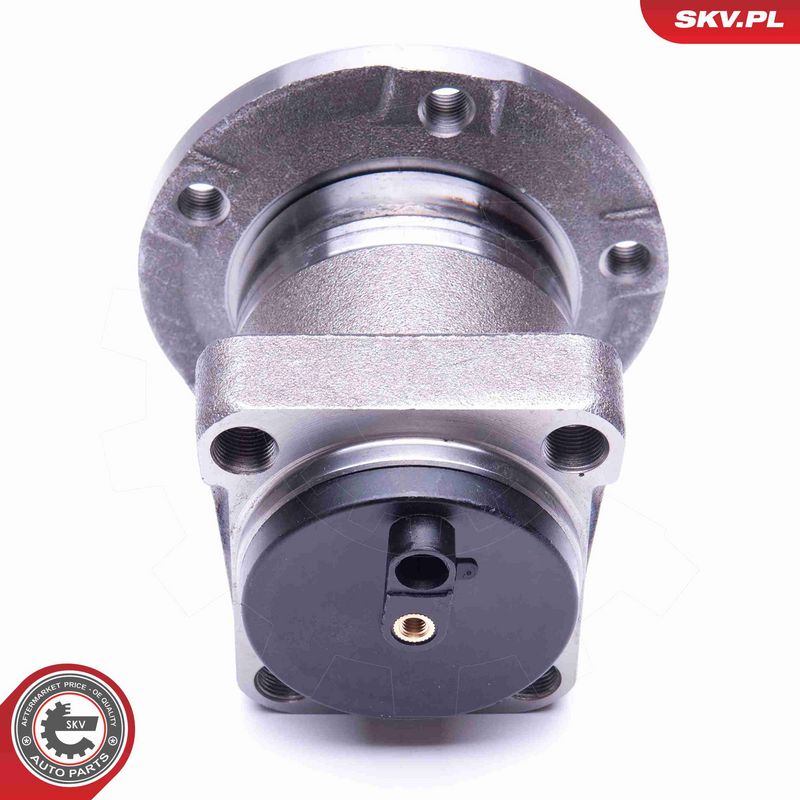 ESEN SKV 29SKV302 Wheel Bearing Kit