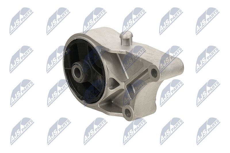 Paigutus, Mootor, NTY ZPS-PL-074