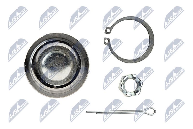 Kande-, juhtliigend, NTY ZSD-CH-002