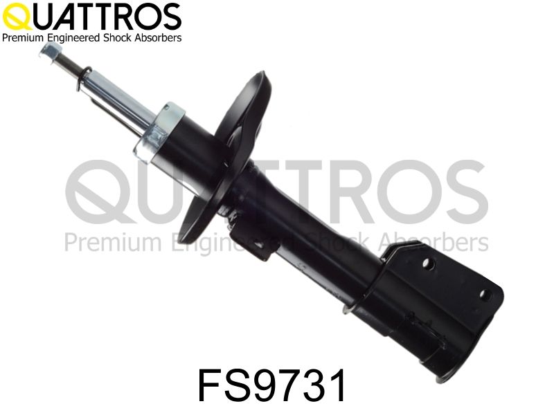 fs9731.JPG
