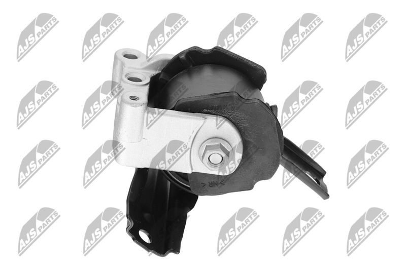 Paigutus, Mootor, NTY ZPS-CH-071