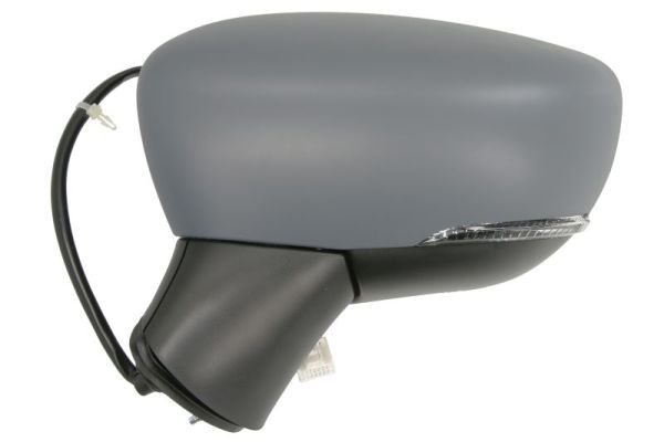 BLIC 5402-16-2104318P Exterior Mirror