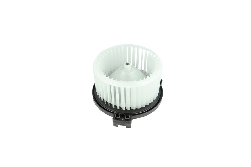 Salongipuhur, NRF 34329