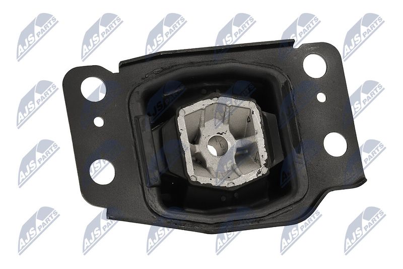 Paigutus, Mootor, NTY ZPS-FR-036