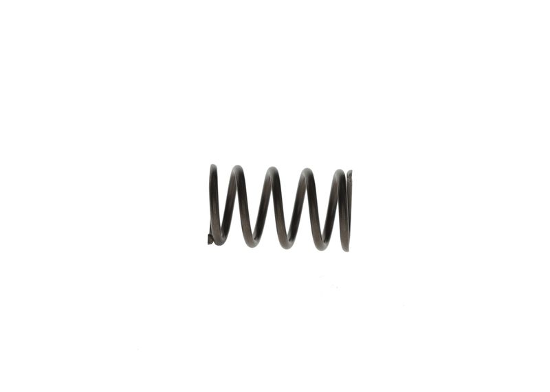 BOSCH F 00R 0P1 279 Spring