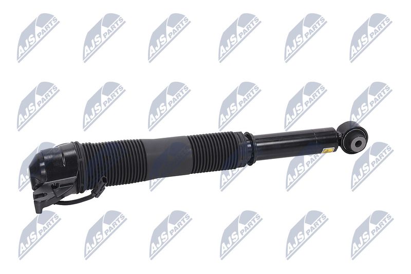Amort, NTY A-LR-021