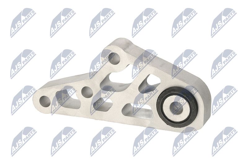 Paigutus, Mootor, NTY ZPS-CH-119