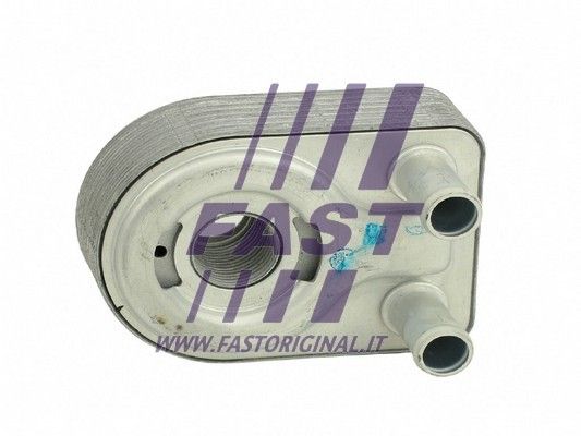 FT55417_2_1.JPG