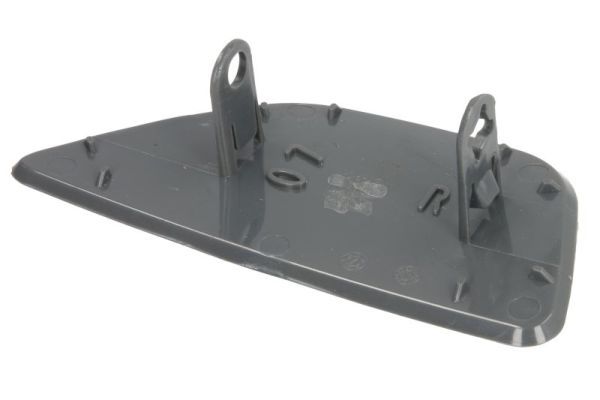 BLIC 5513-00-0067924GP Cover, bumper