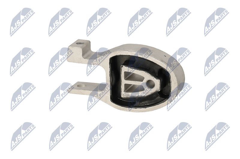 Paigutus, Mootor, NTY ZPS-FR-037