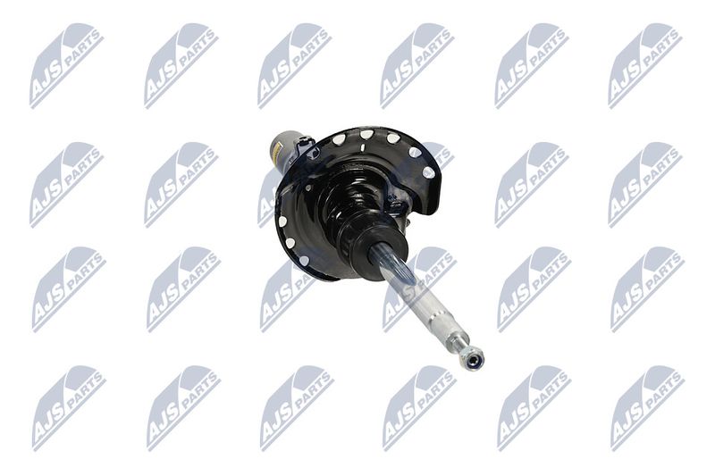 Amort, NTY A-LR-032