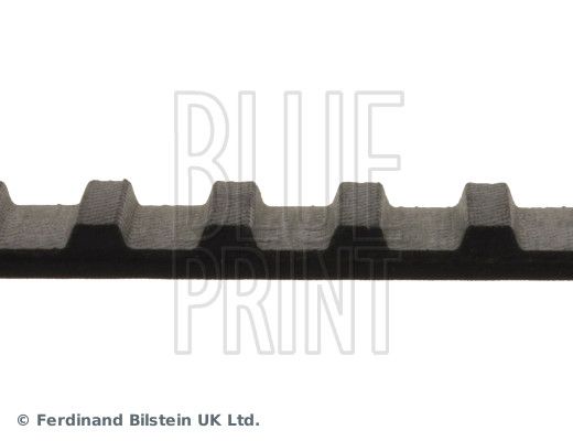 BLUE PRINT ADH27505 Timing Belt