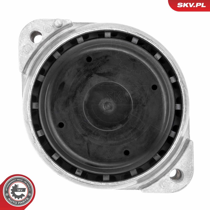 Paigutus, Mootor, ESEN SKV 75SKV247