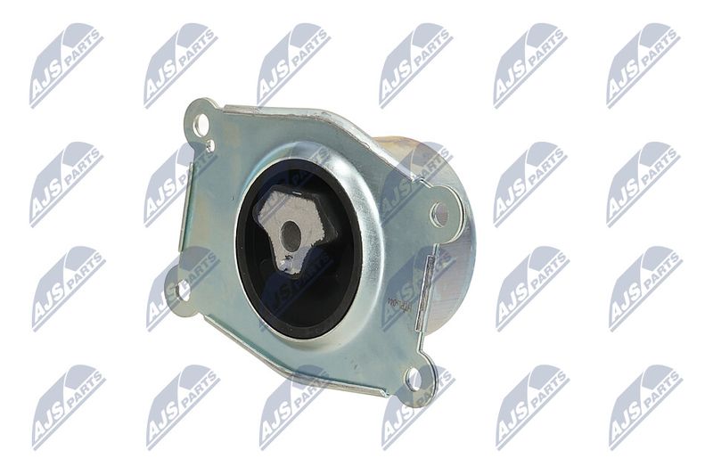 Paigutus, Mootor, NTY ZPS-PL-044