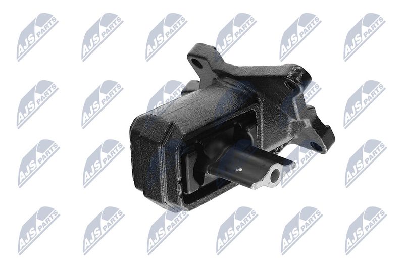 Paigutus, Mootor, NTY ZPS-CH-030