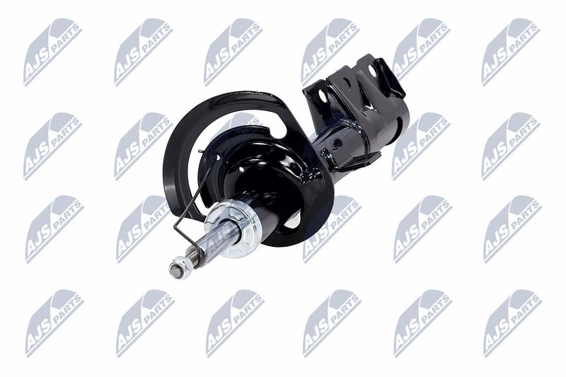 Amort, NTY A-CH-057