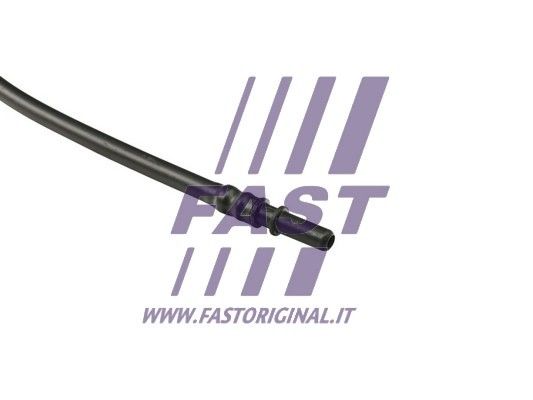 FT39603_3_1.JPG