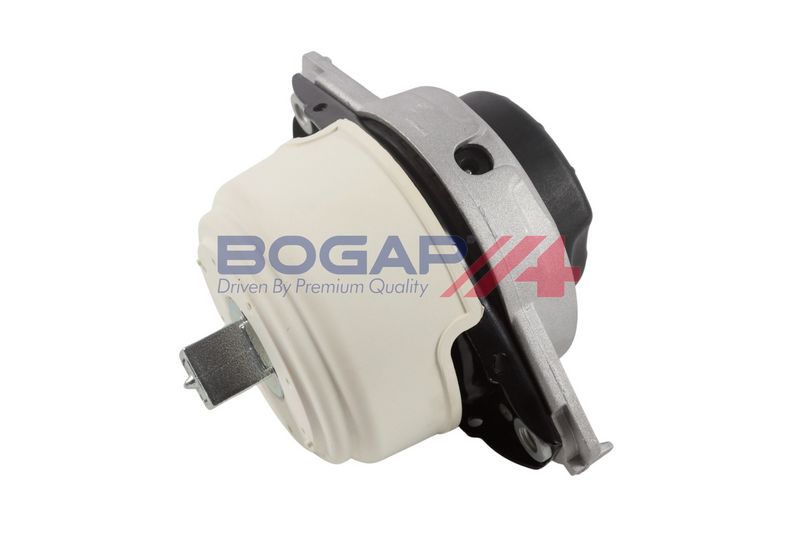 BOGAP Variklio montavimas