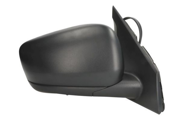 BLIC 5402-09-2434313P Exterior Mirror