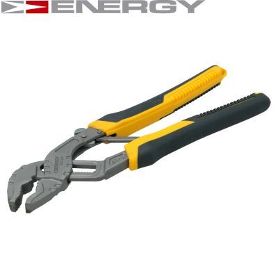 Гострозубці, Energy NE01058