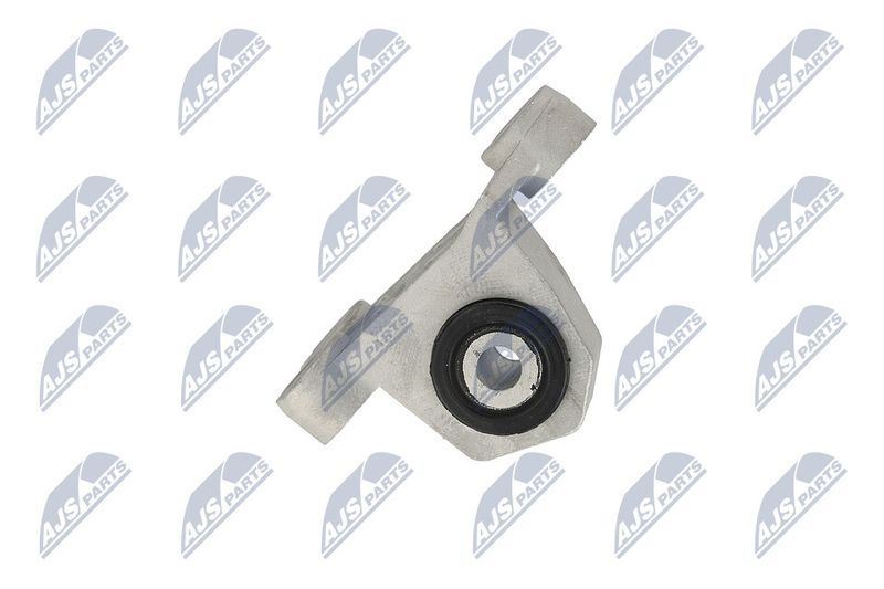 Paigutus, Mootor, NTY ZPS-CH-118