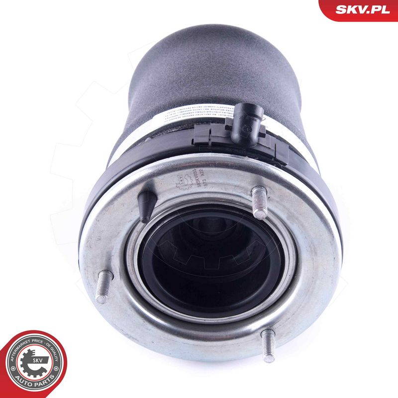 Õhkvedru, vedrustus, ESEN...