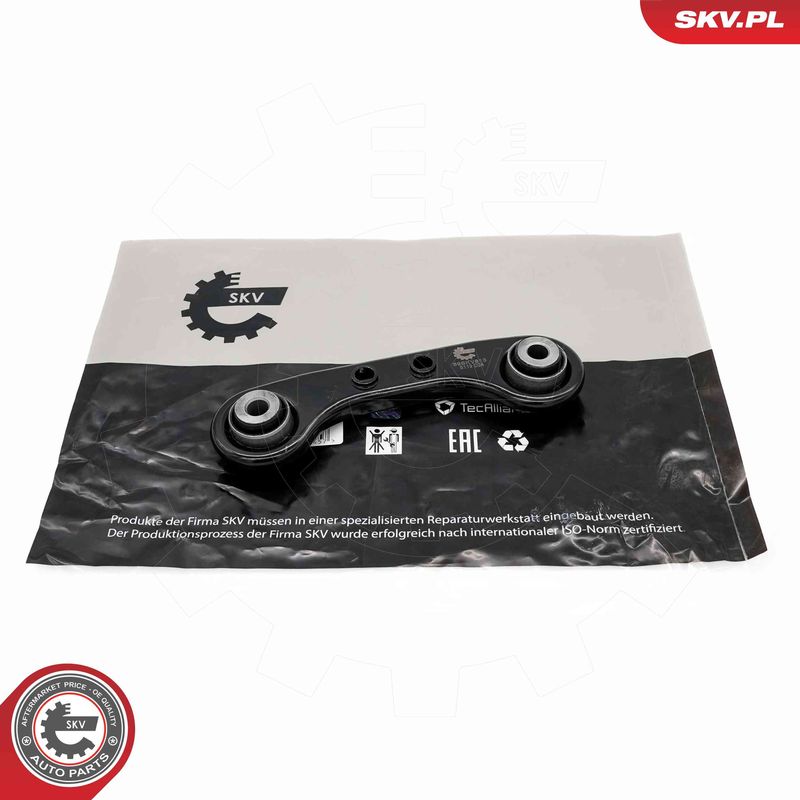 69SKV813