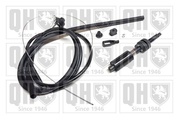 QH_QTC5021.JPG