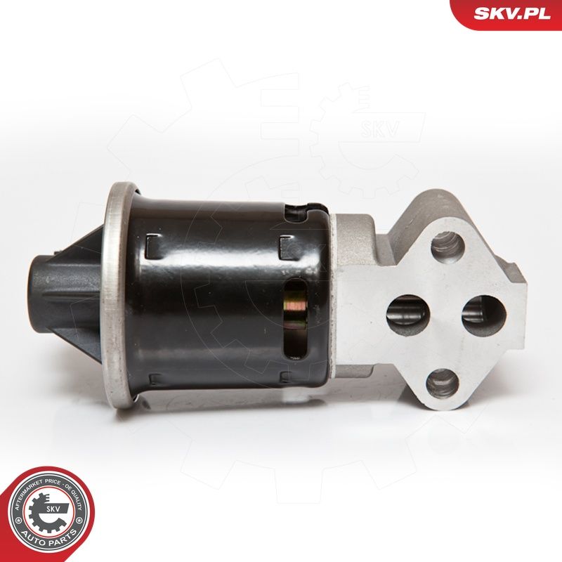 EGR-klapp, ESEN SKV 14SKV059