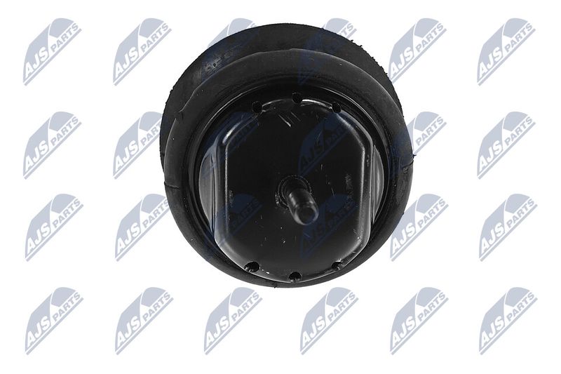 Paigutus, Mootor, NTY ZPS-CH-070