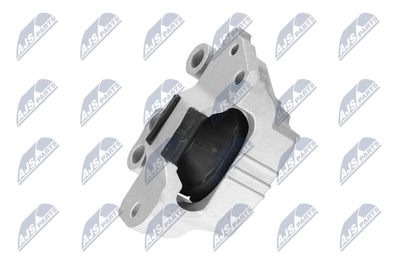 Paigutus, Mootor, NTY ZPS-CH-132