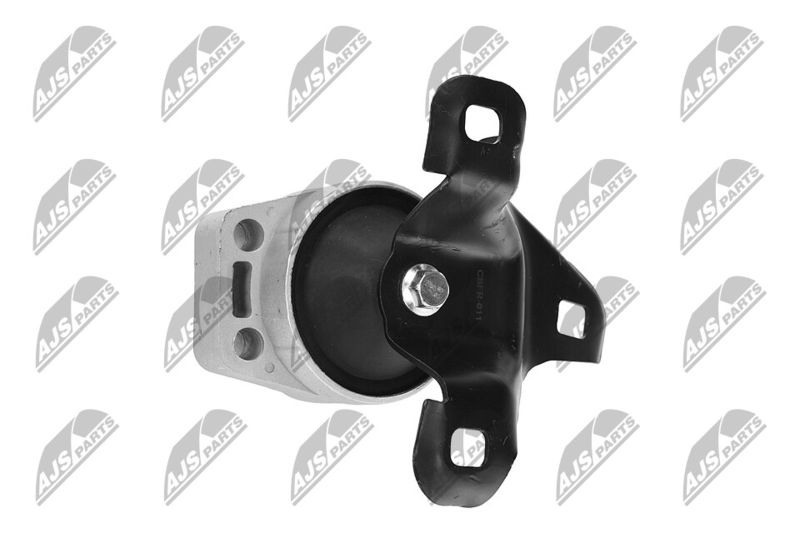 Paigutus, Mootor, NTY ZPS-FR-011