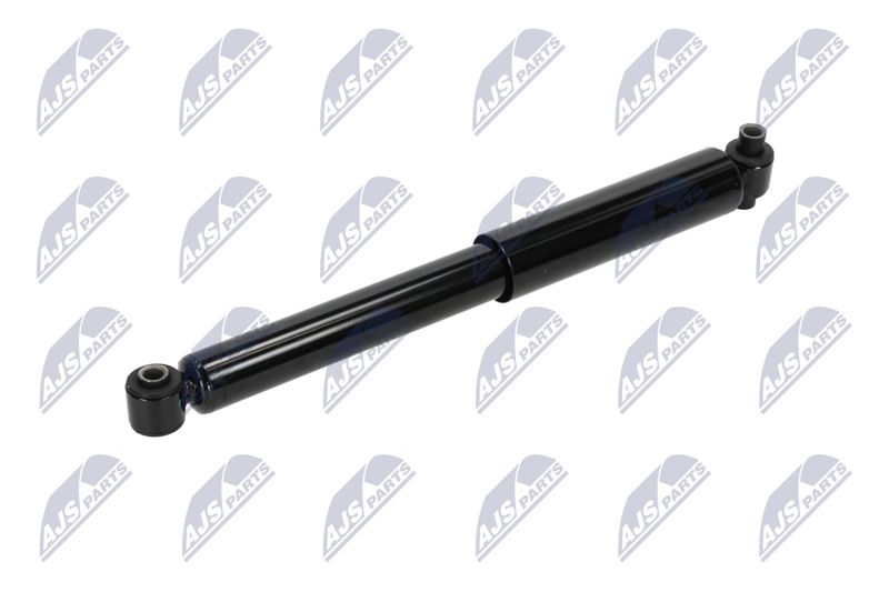 Amort, NTY A-CH-038