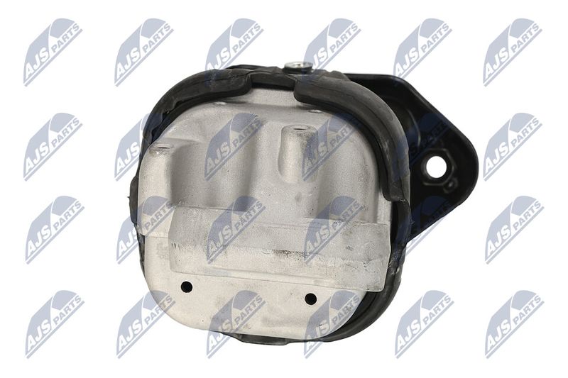 Paigutus, Mootor, NTY ZPS-CH-116