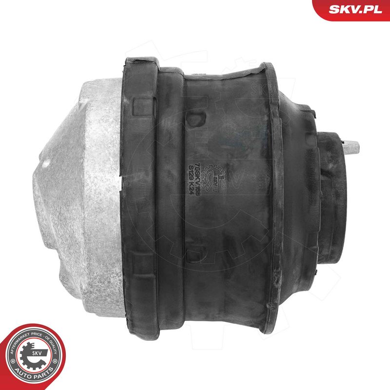 Paigutus, Mootor, ESEN SKV 75SKV168