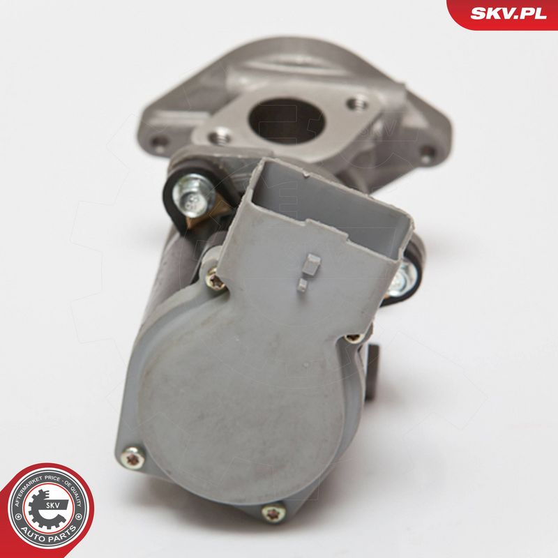 ESEN SKV 14SKV073 EGR Valve
