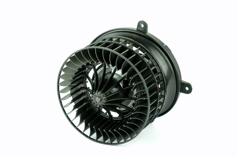 Salongipuhur, NISSENS 87152