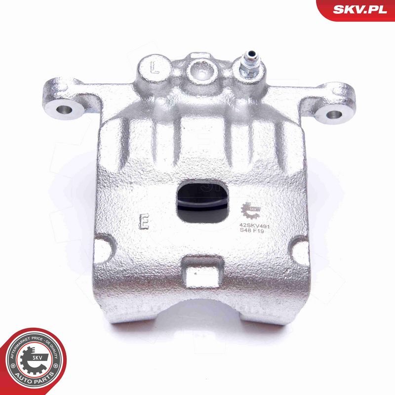 ESEN SKV 42SKV491 Brake Caliper