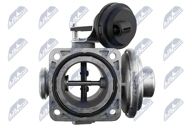 egr-vw-062_5-wm.JPG