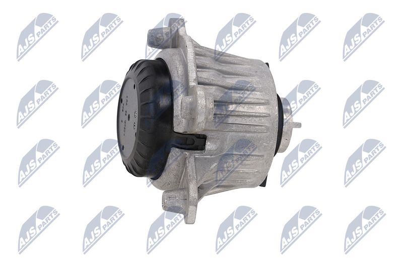 Paigutus, Mootor, NTY ZPS-ME-031