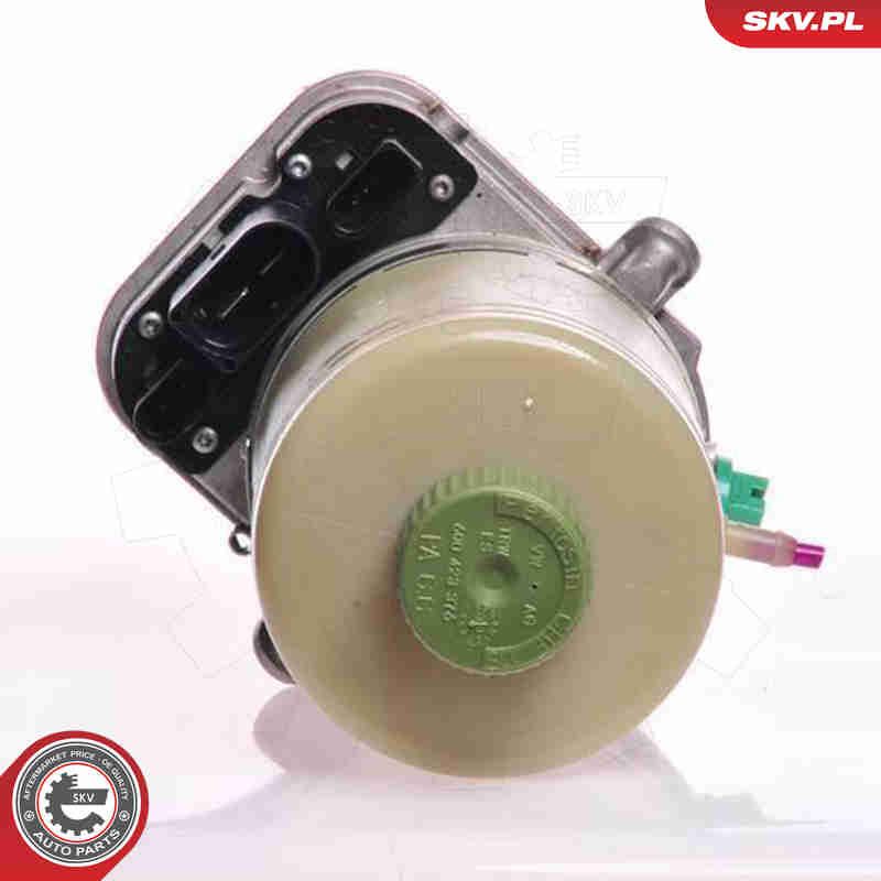 ESEN SKV 10SKV081 Hydraulic Pump, steering