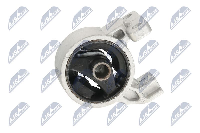 Paigutus, Mootor, NTY ZPS-KA-318